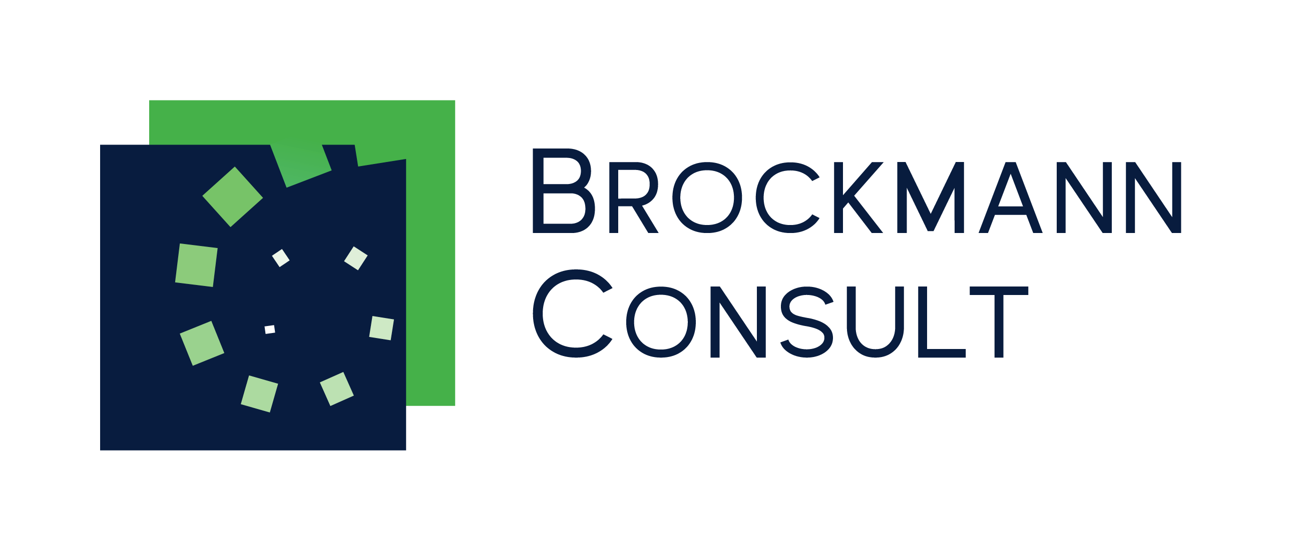 Brockmann Consult Logo