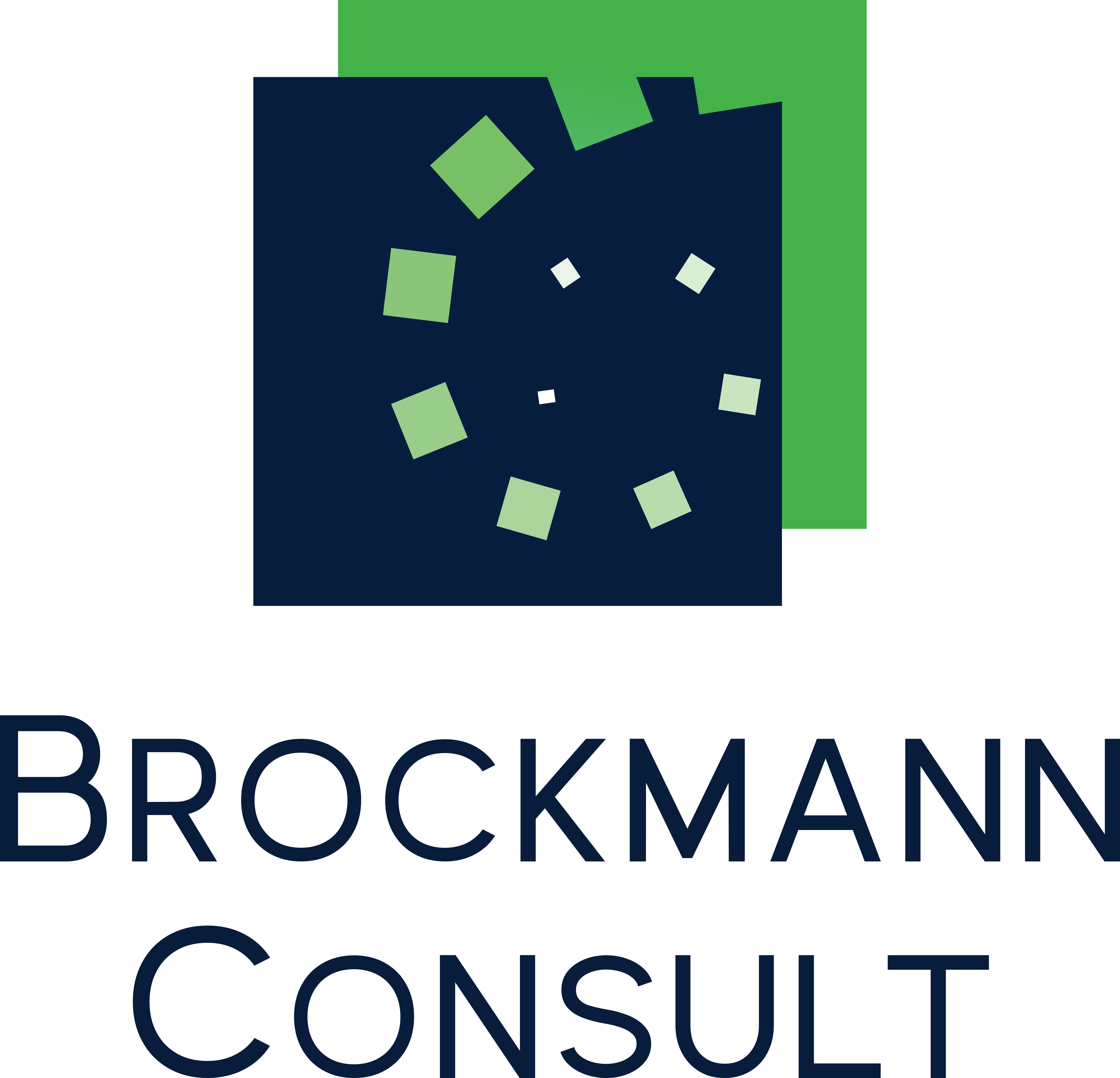 Brockmann Consult Logo